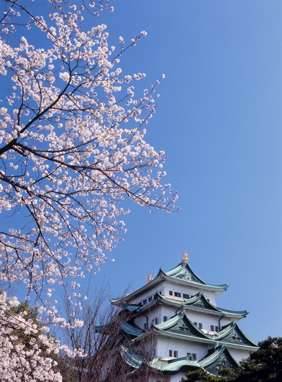 日本把地震调到7.5级，海啸也来了，结果才40厘米？网友：就这？日本气象厅，