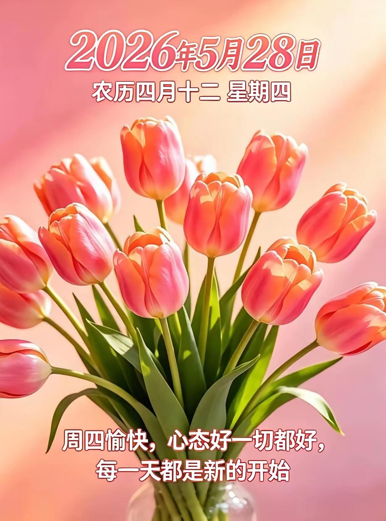 5.28🌹🍎🍎早上好😁♥️🌹鲜花美，不如问候欣慰！愿我们：朝夕欢喜常