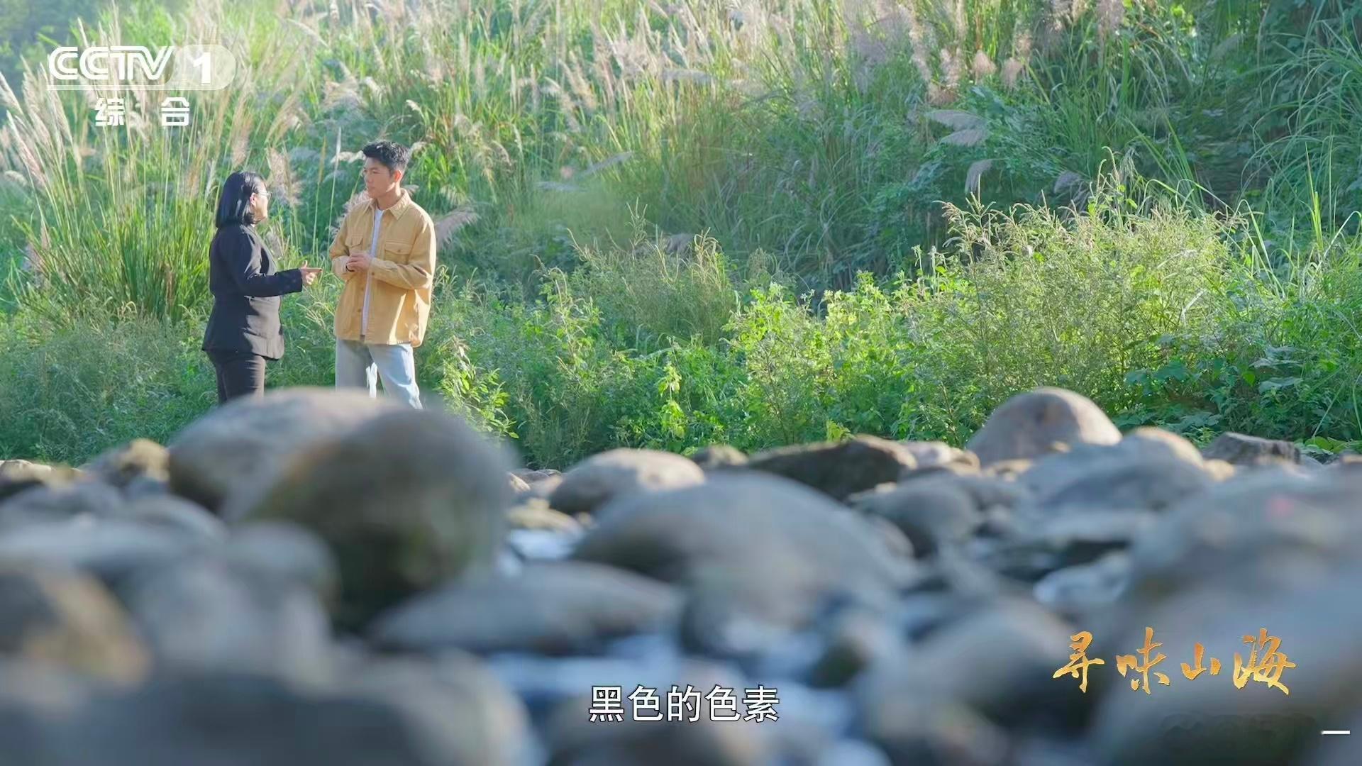 福建有种鸭越老越贵3招教你判断鸭子年龄摸脚掌辨龄的小技巧太绝了！茧子厚度直接对