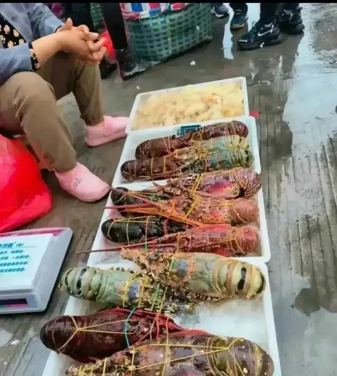 这个放地上卖估计也不便宜？
