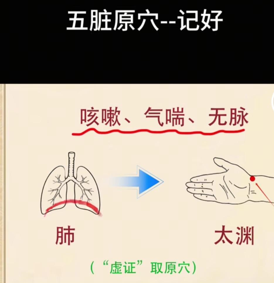 五脏原穴对应：五脏有病，虚症以辅。五脏对应原穴＿肺脏-手腕外侧太渊；肝脏-脚