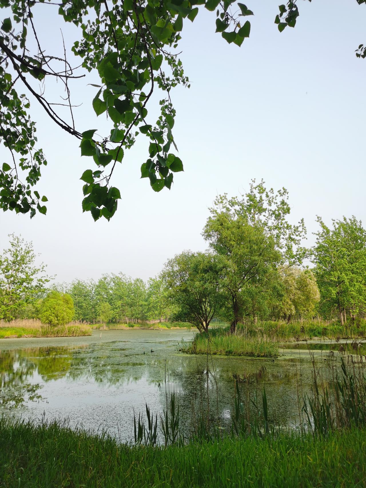 今日运势：丙午年壬辰月乙丑日2026.4.21日鼠：小吉收获颇多牛：避