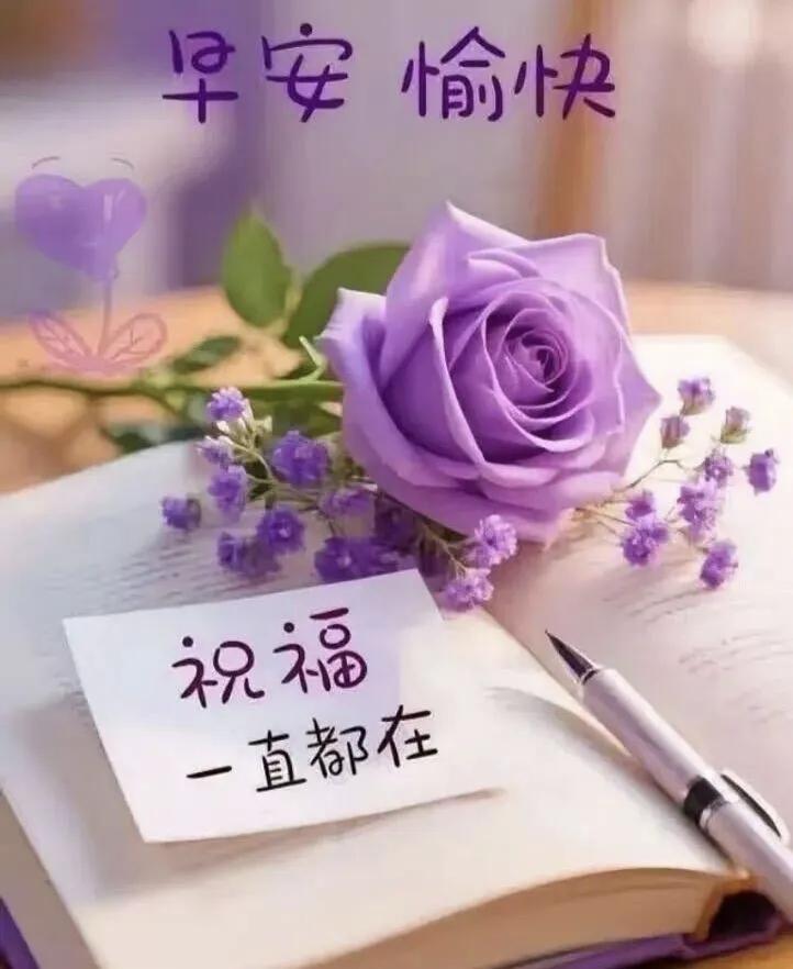 早安！把温柔穿在身上的一天