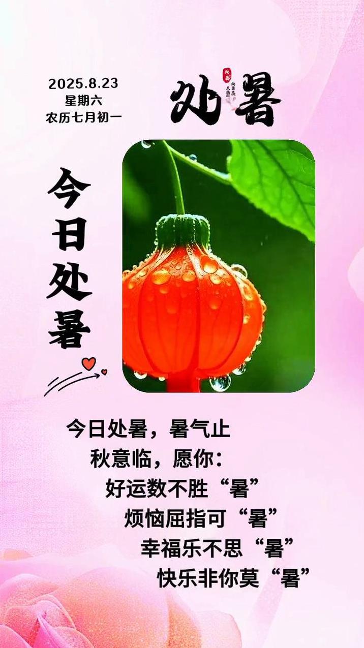 处暑。2025.8.23，星期六，农历七月初一。今日处暑，暑气止。秋意临，愿你