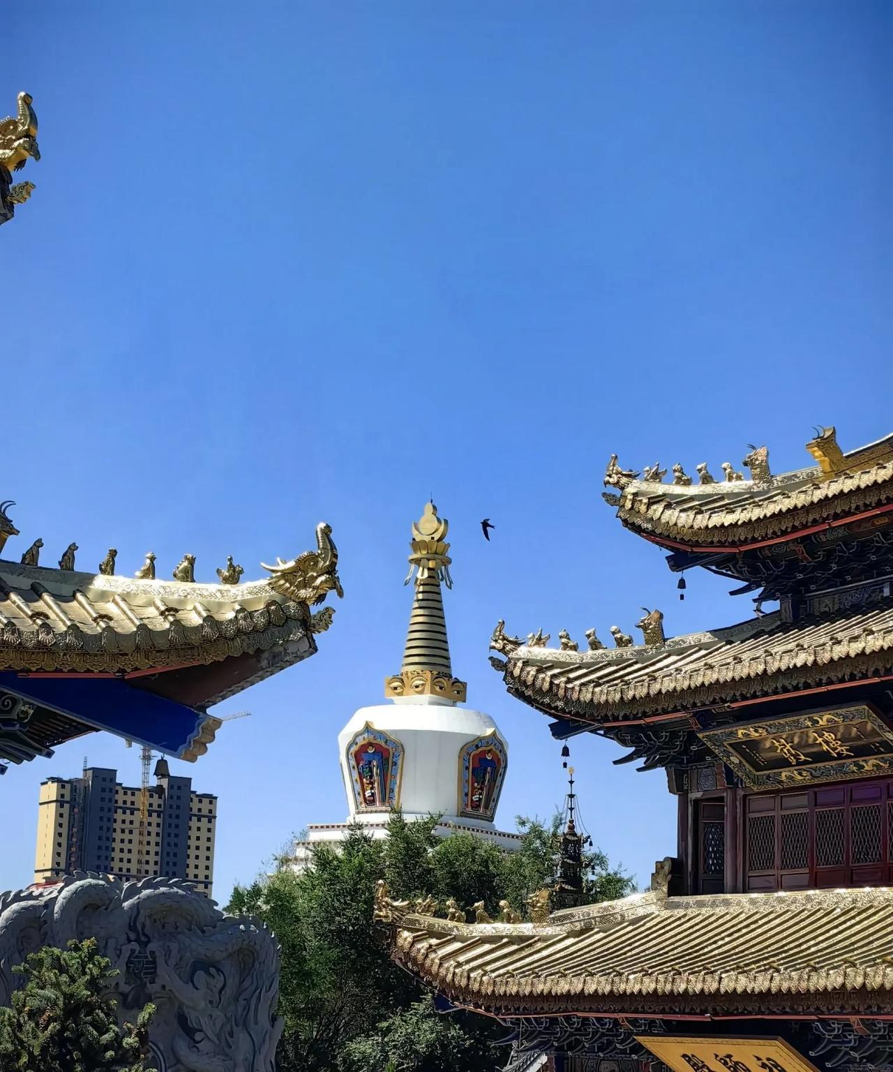 退休生活：结束旅行，晒晒我拍的照片。上周四，我和妹妹继续逛呼市的各个寺庙，寺庙