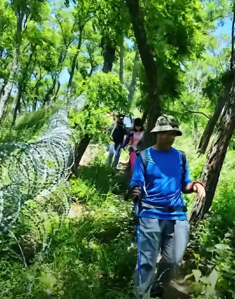 刀片铁丝网不光把泰山围了，几乎是把所有济南与泰安交界的山脉，全部围起来了。这
