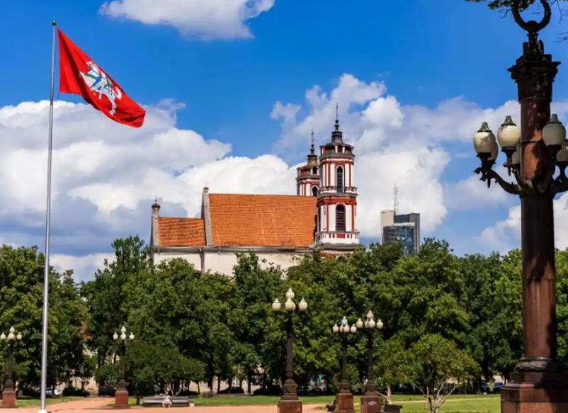 中国正式对外表态，对立陶宛出手毫不留情！这句话一抛出来，外界立刻意识到，这一