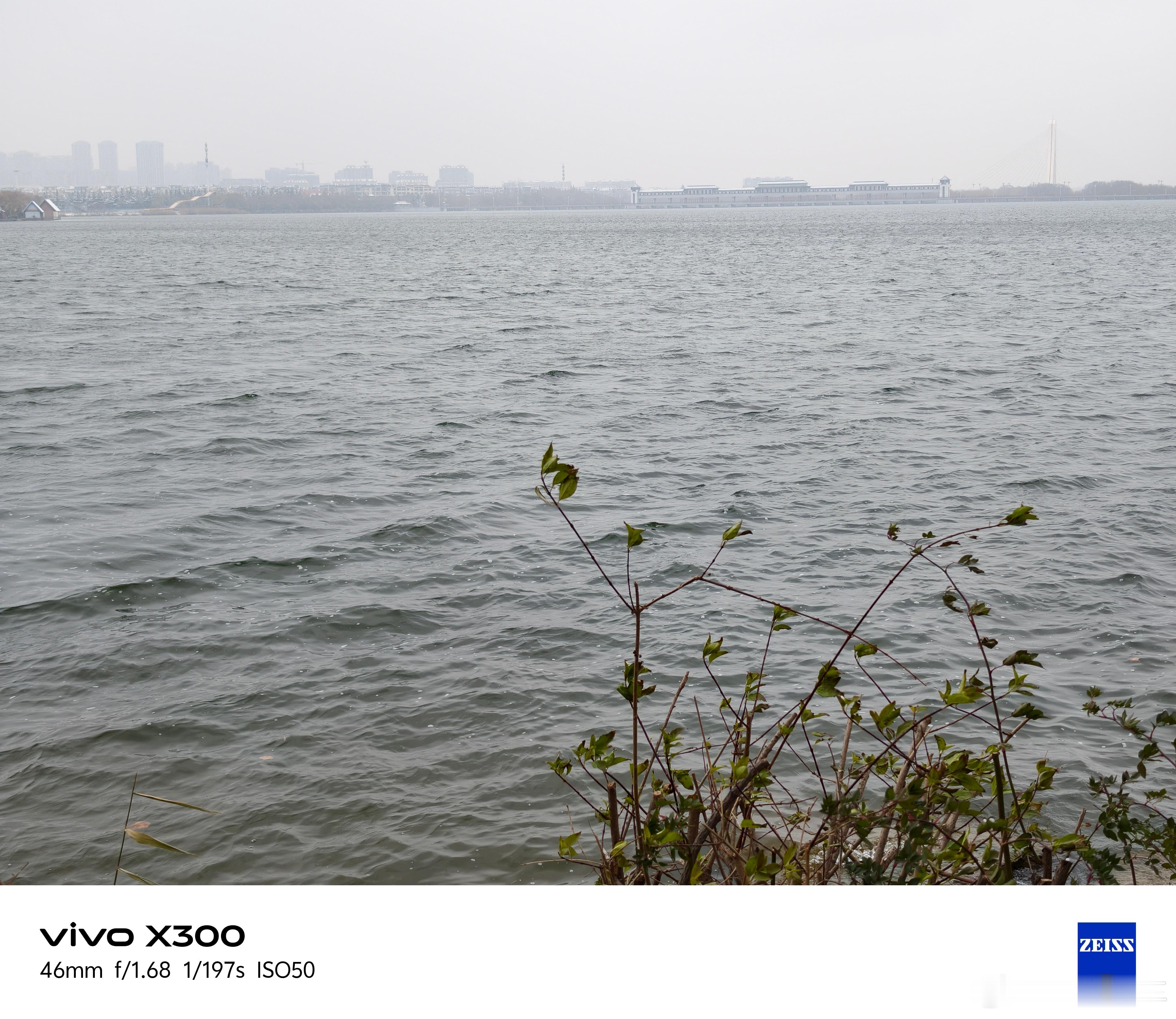 空气是清冽的，吸进去，有一股新鲜的甜。远处的山峦与近处的枯枝，都因这薄薄的一层雪