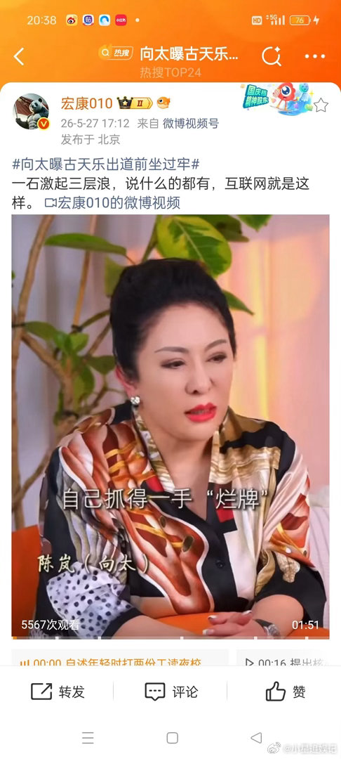 向太的发言什么水平？