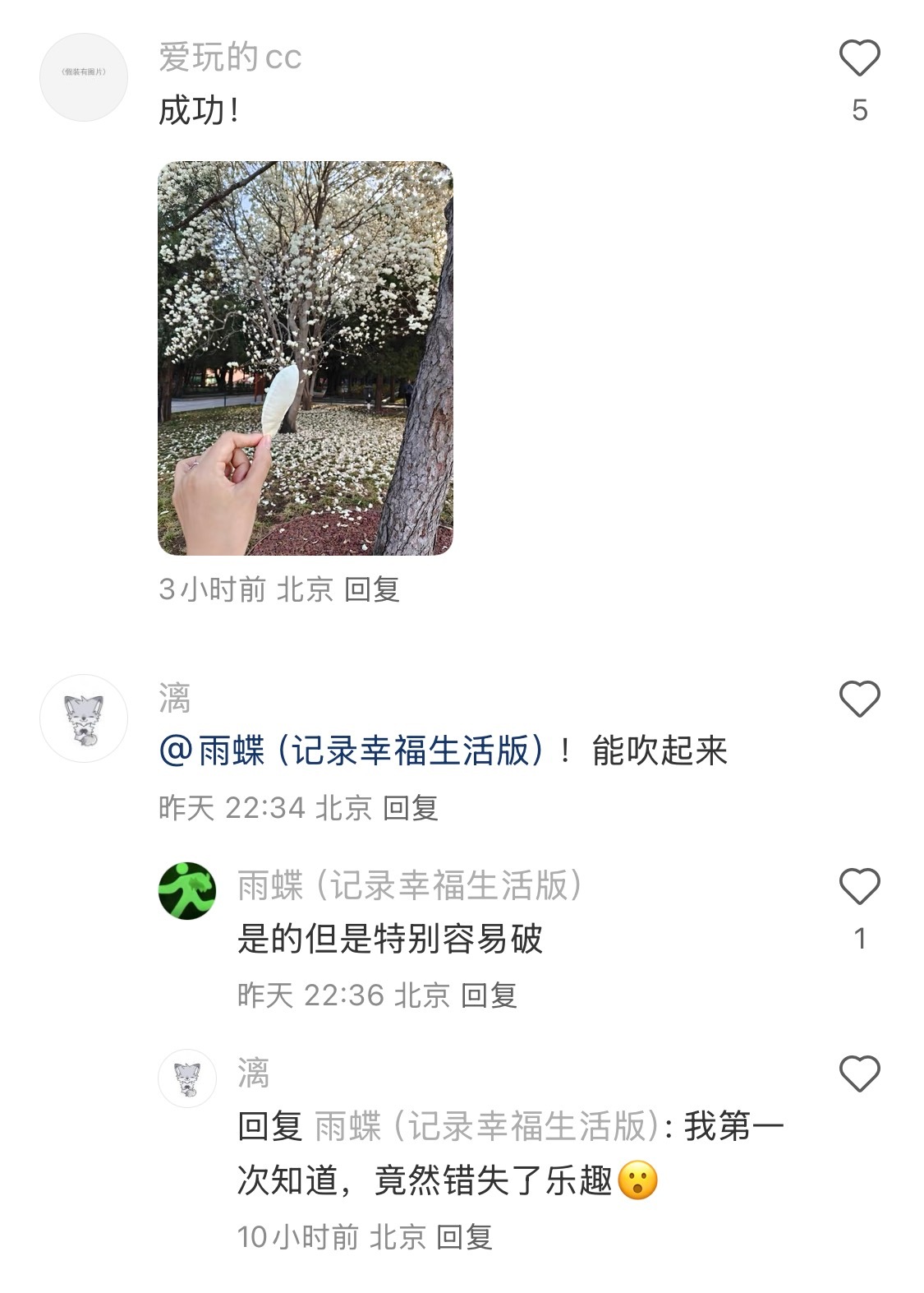玉兰花可以吹成受气包