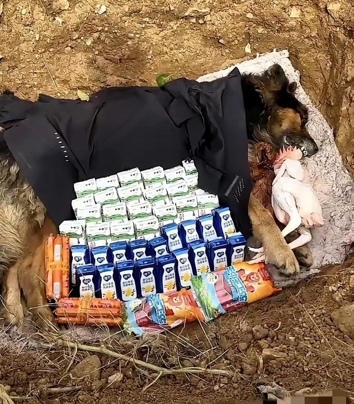 河南男子厚葬爱犬这事真的戳心，四包火腿肠、两箱牛奶再加一只大公鸡，看似普通的物件