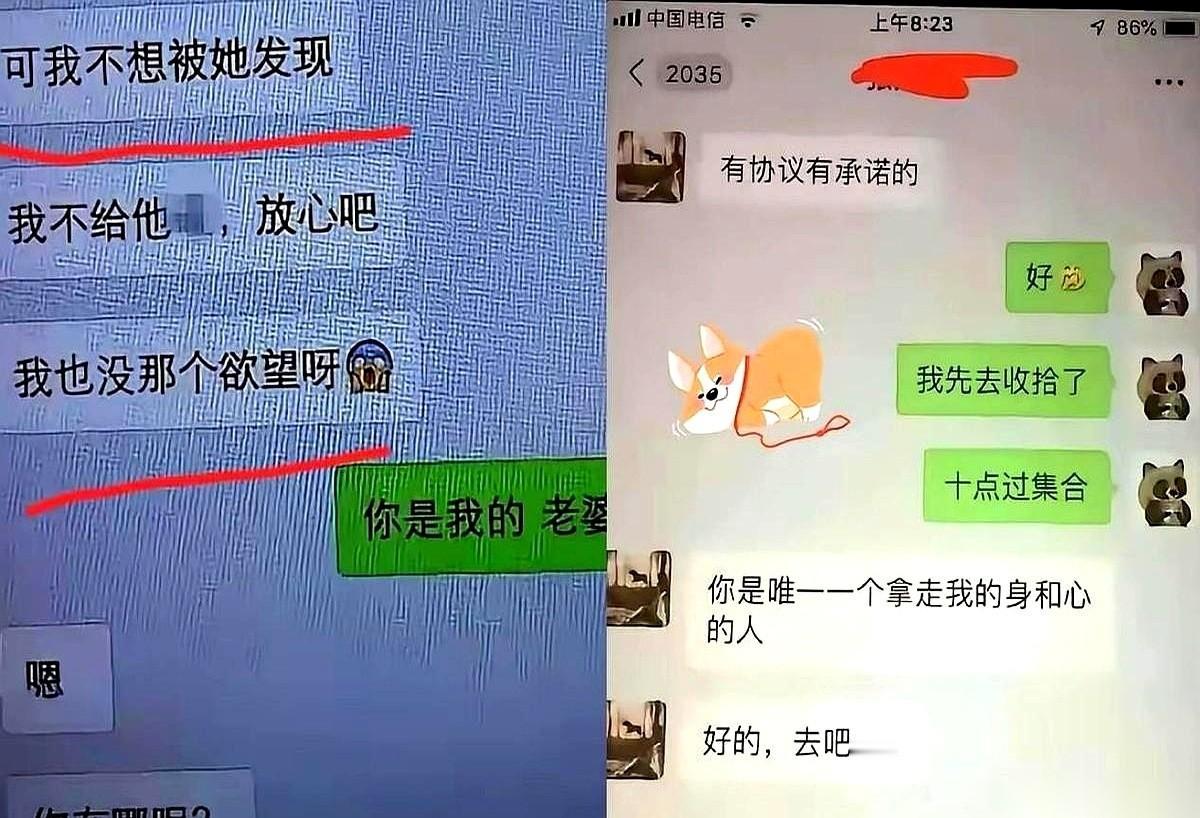 免职文件砸下来的那一刻，那几百页的聊天记录彻底成了笑话。别总盯着女方怎么死乞白