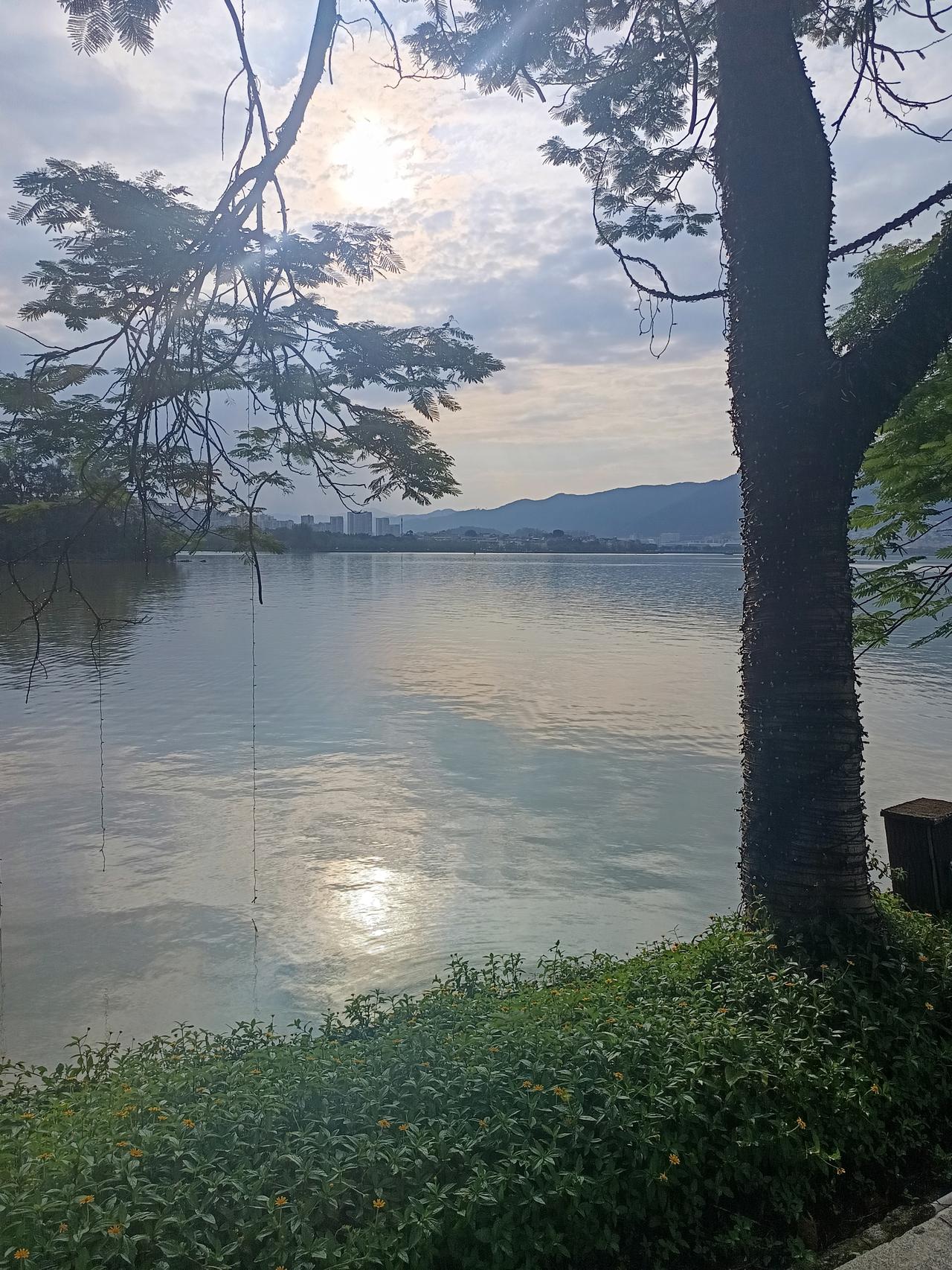 我在肇庆的星湖发现一个很严重的问题但不知道怎么说才好你敢相信吗？这
