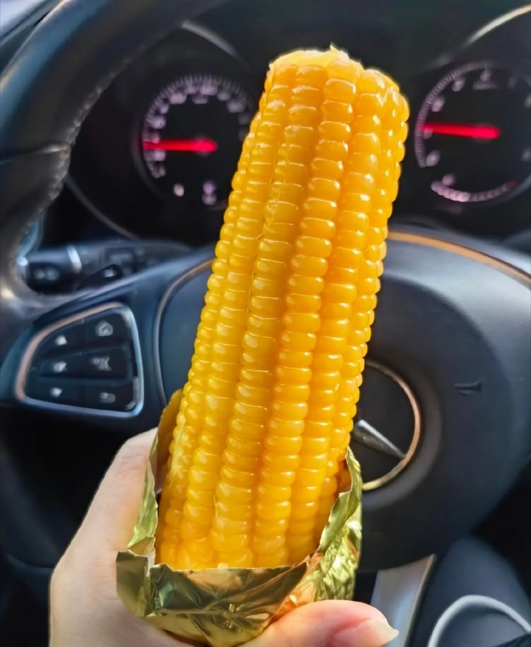 玉米一种很健康的食物真的很爱吃玉米！日常当主食特别合适，吃着清甜软糯，饱腹感还