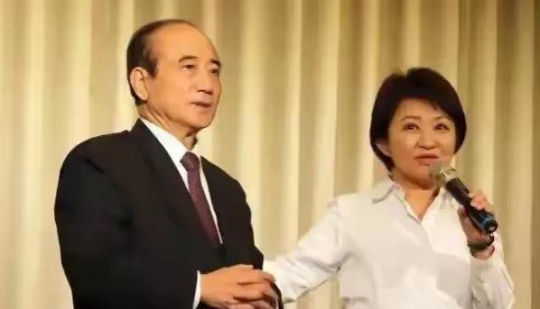 起风了，卢秀燕证实频频拜访王金平，最近一次更是谈及了未来的竞选！随着蓝营提名人选
