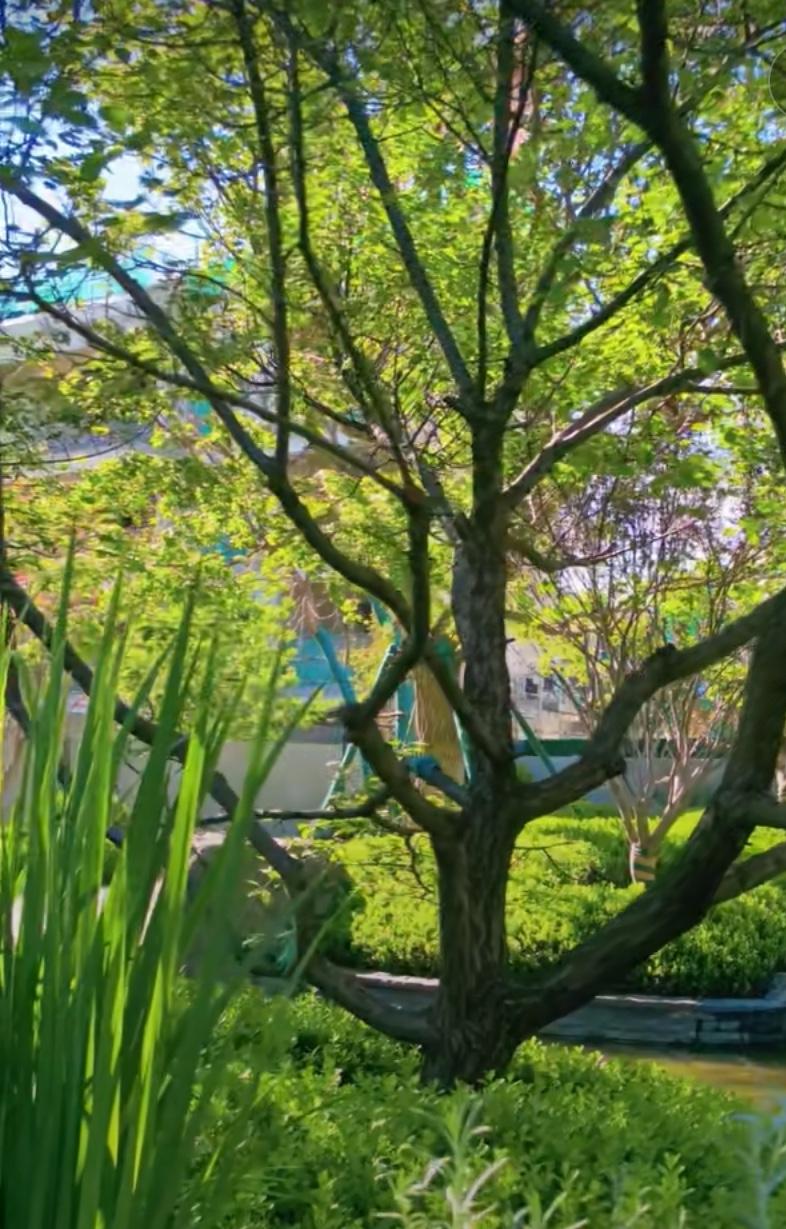 天呐，昨日（3月11日）北京二手房市场创出“四高”，看来市场是真的热起来了？