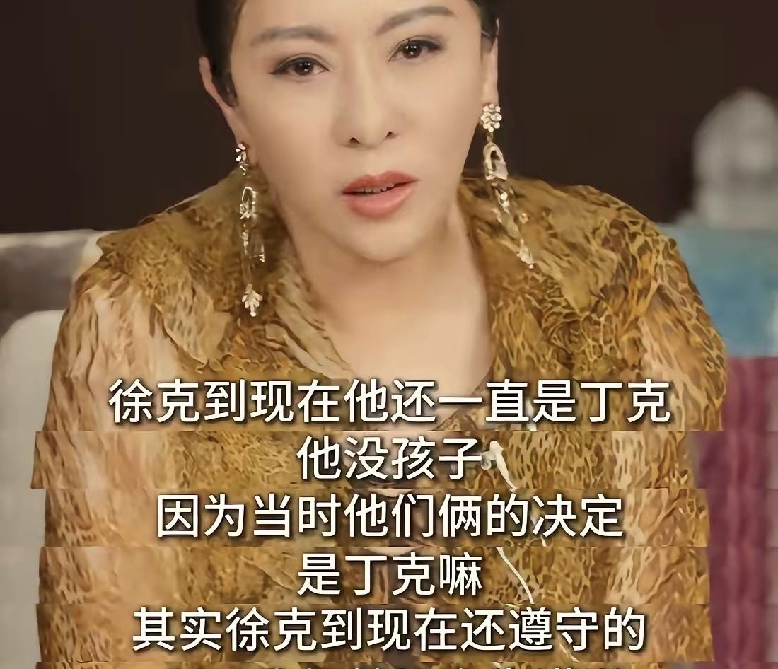 向太说徐克没有孩子，他依旧是丁克，结果被打脸了，女友孕肚照曝光！施南生离世后