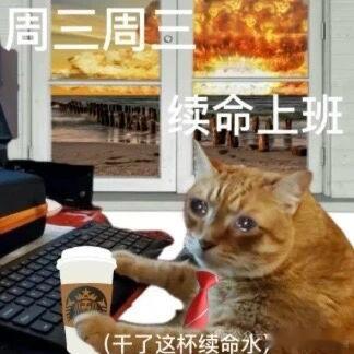 短发中……