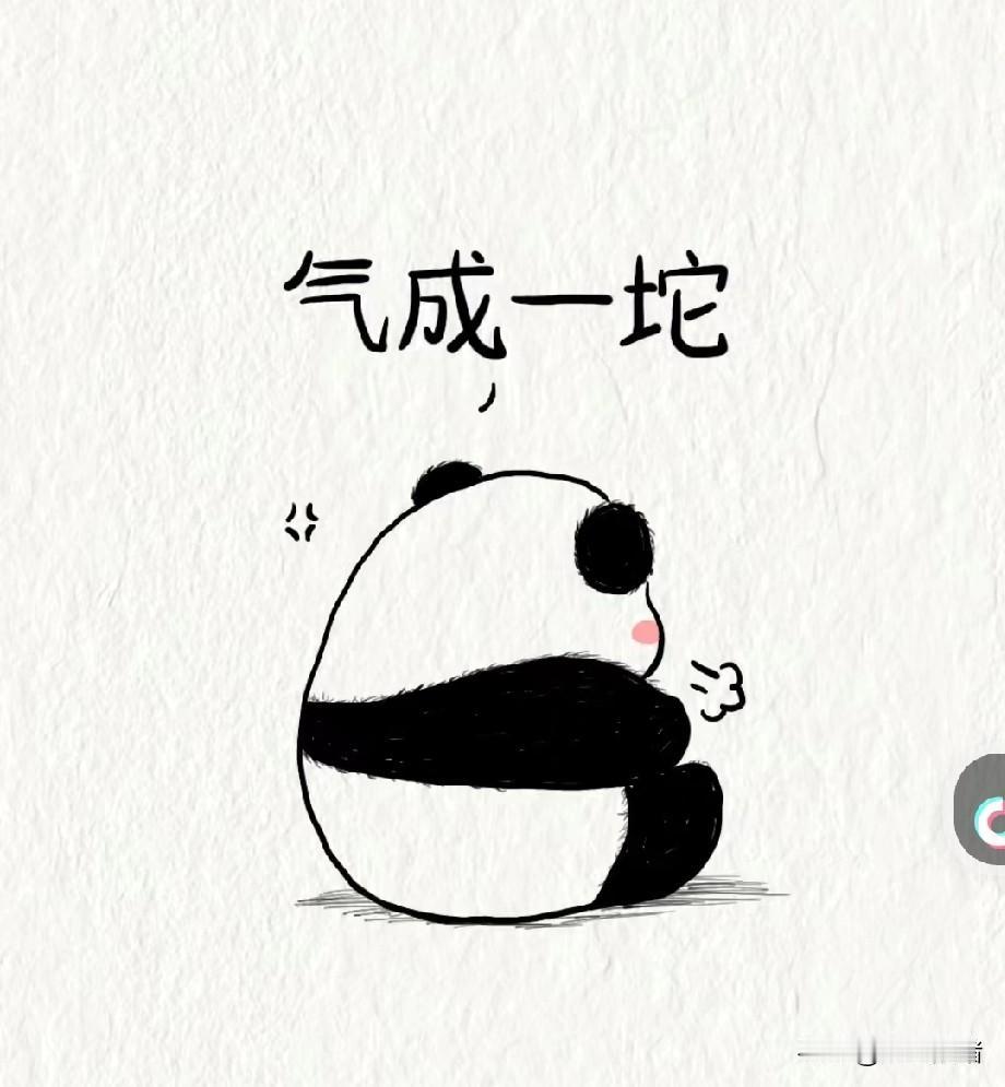 邻居是南方人,在本地没有亲戚。儿子找个农村的女孩,前天订婚了,我和另外一个邻居充
