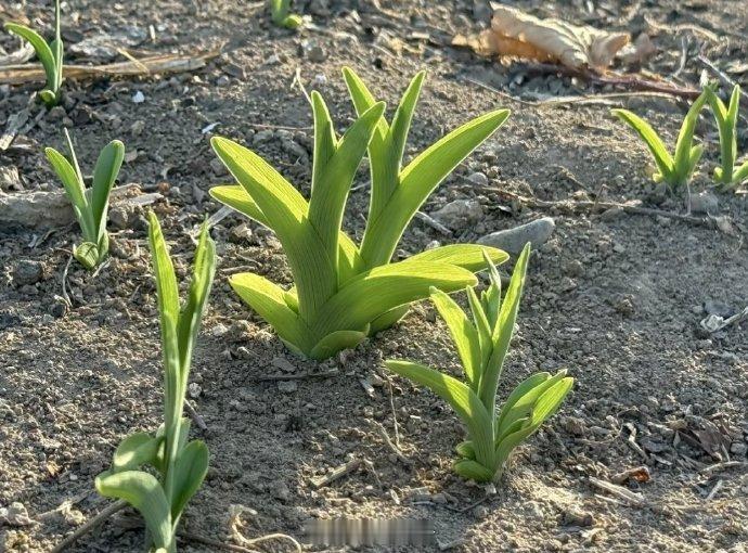 可爱的人和可爱的事物。