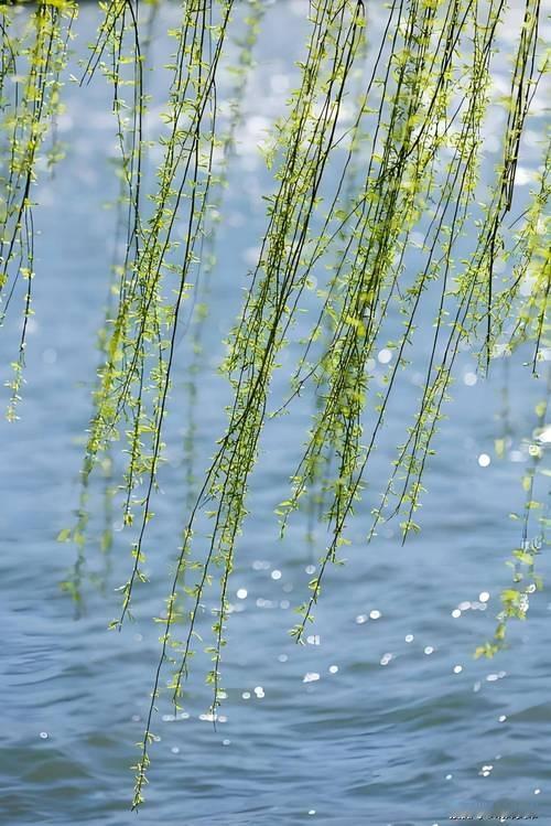 上联：柳岸絮飞风淡淡，下联：枫林叶落雨潇潇，下联：碧海云飘月皎皎。