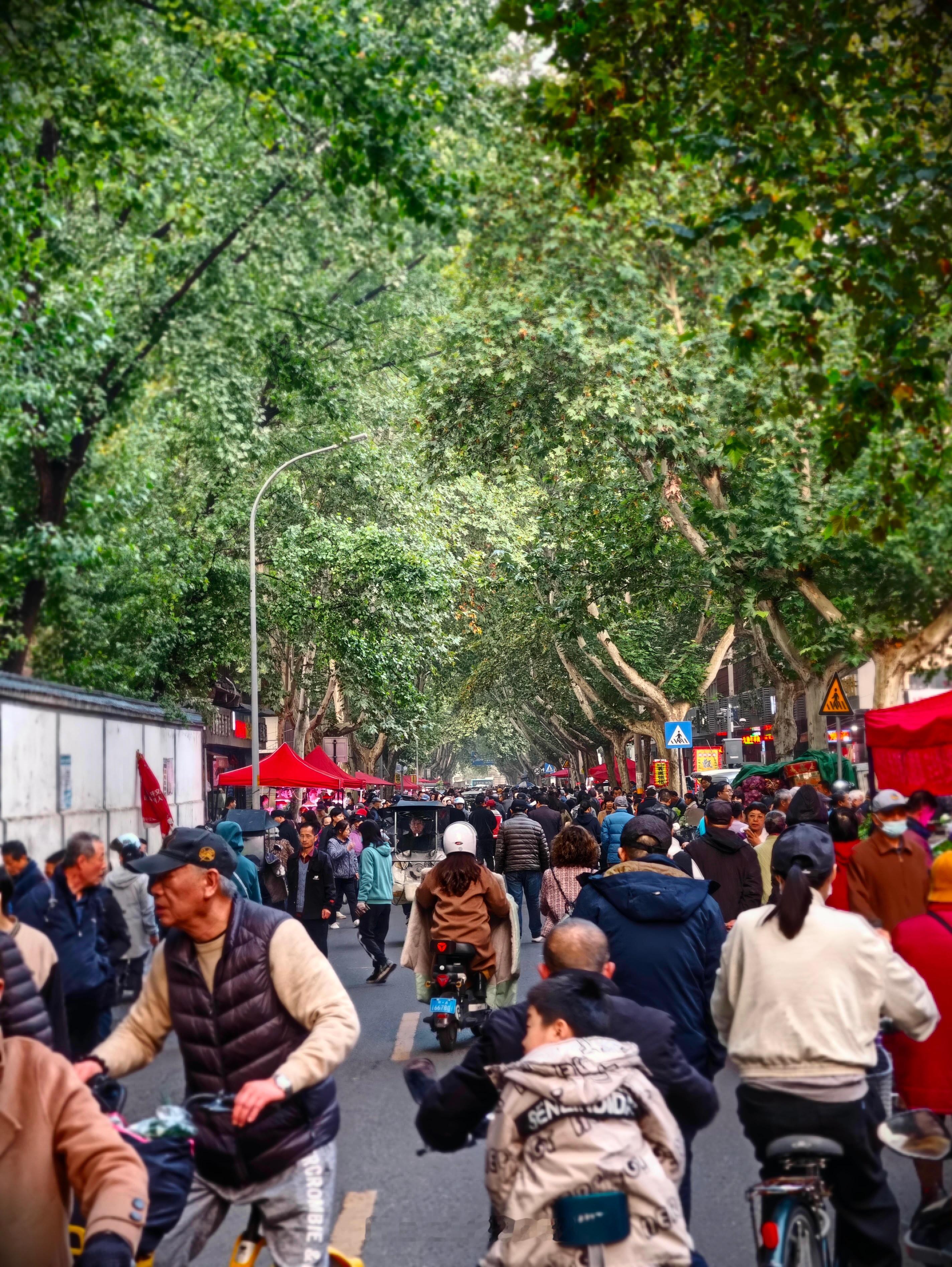 去西安的早市转了一圈，感觉比大唐不夜城好玩[捂脸哭]。花十块钱买了一大盒火晶柿子，