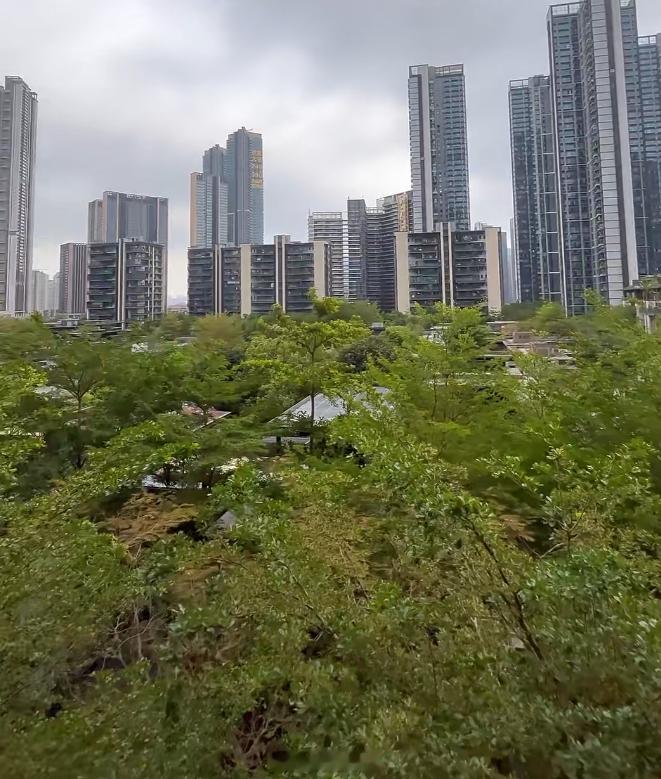 深圳南山香山美墅小高层最近成交的很不错，今年成交5套了。244平4+1户型，成交