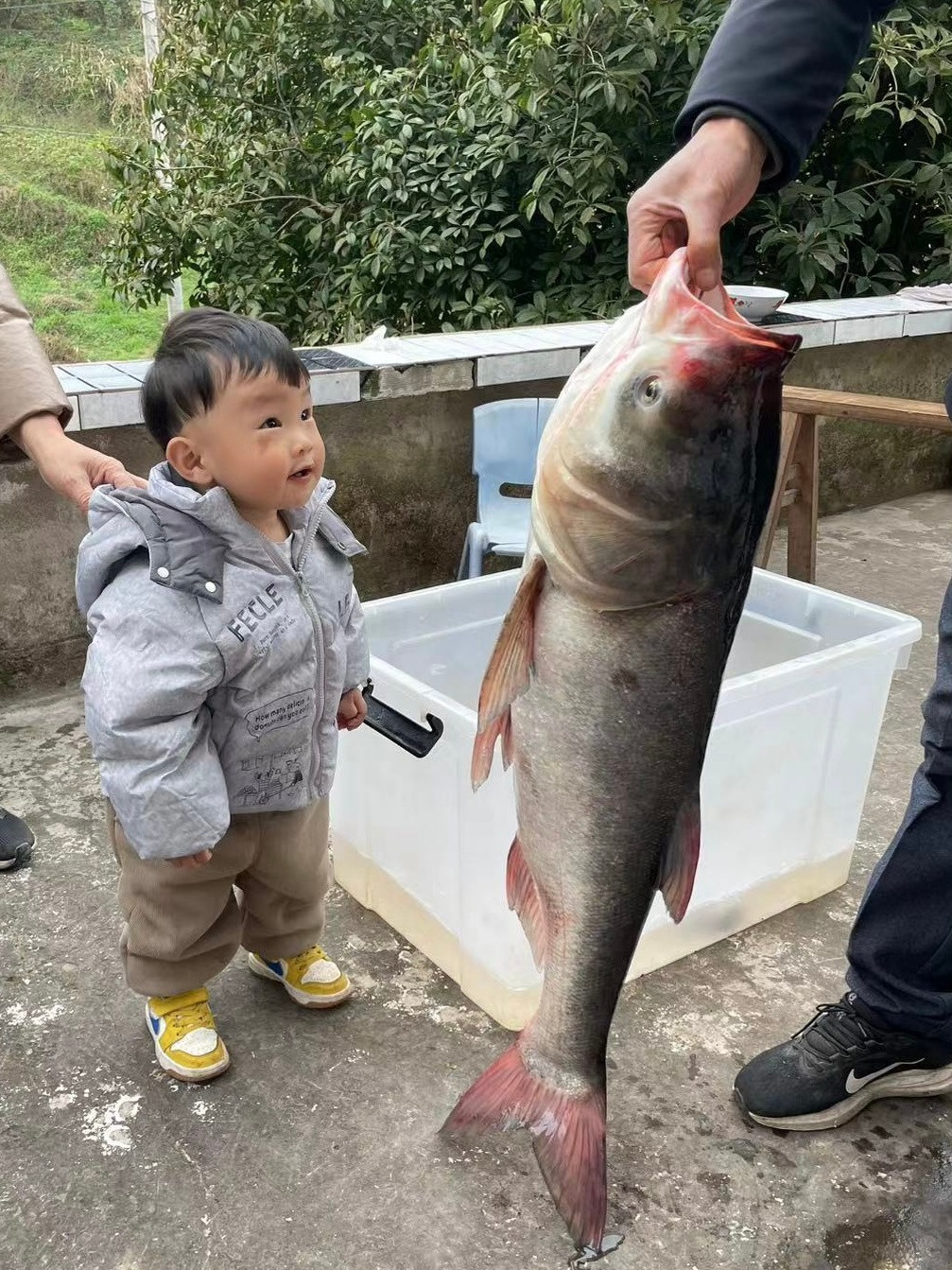 老钱同志分享的战利品该说不说确实是有点东西这得十几斤了吧