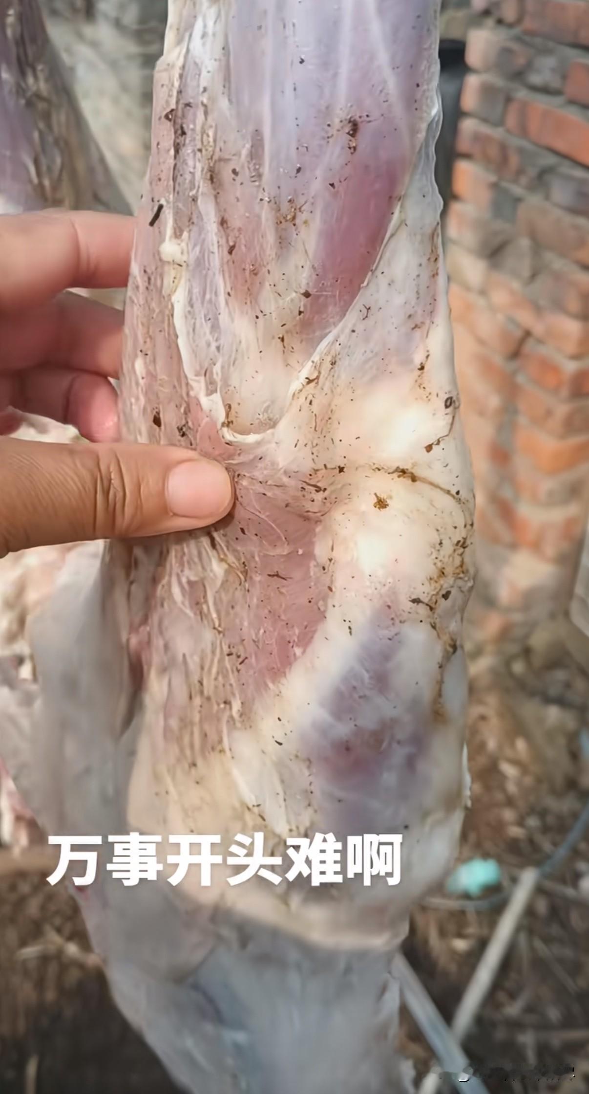 新鲜羊肉掉在地上后，为什么用水洗不掉羊肉上面沾着的土呢？安徽一女子早上自己家