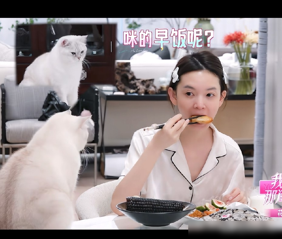 陈瑶一顿早饭，半碗辣椒，俩烤鸡翅，玉米鸡蛋全干完，愣是不胖。黄灿灿在综艺里直接戳穿她：吃得太多，吃得