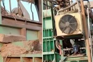 令人惋惜！母亲目睹儿子被粉碎机吞噬，全身只剩下一条小腿，母亲目睹全程却无能为力，