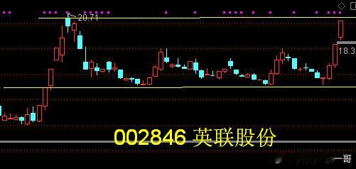 002846英联股份——以快速消费品为核心领域，专业从事“安全、环保、易开启”