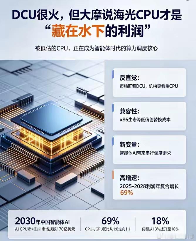 DCU很火，但大摩说海光CPU才是“藏在水下的利润”聊海光，十个人里有八