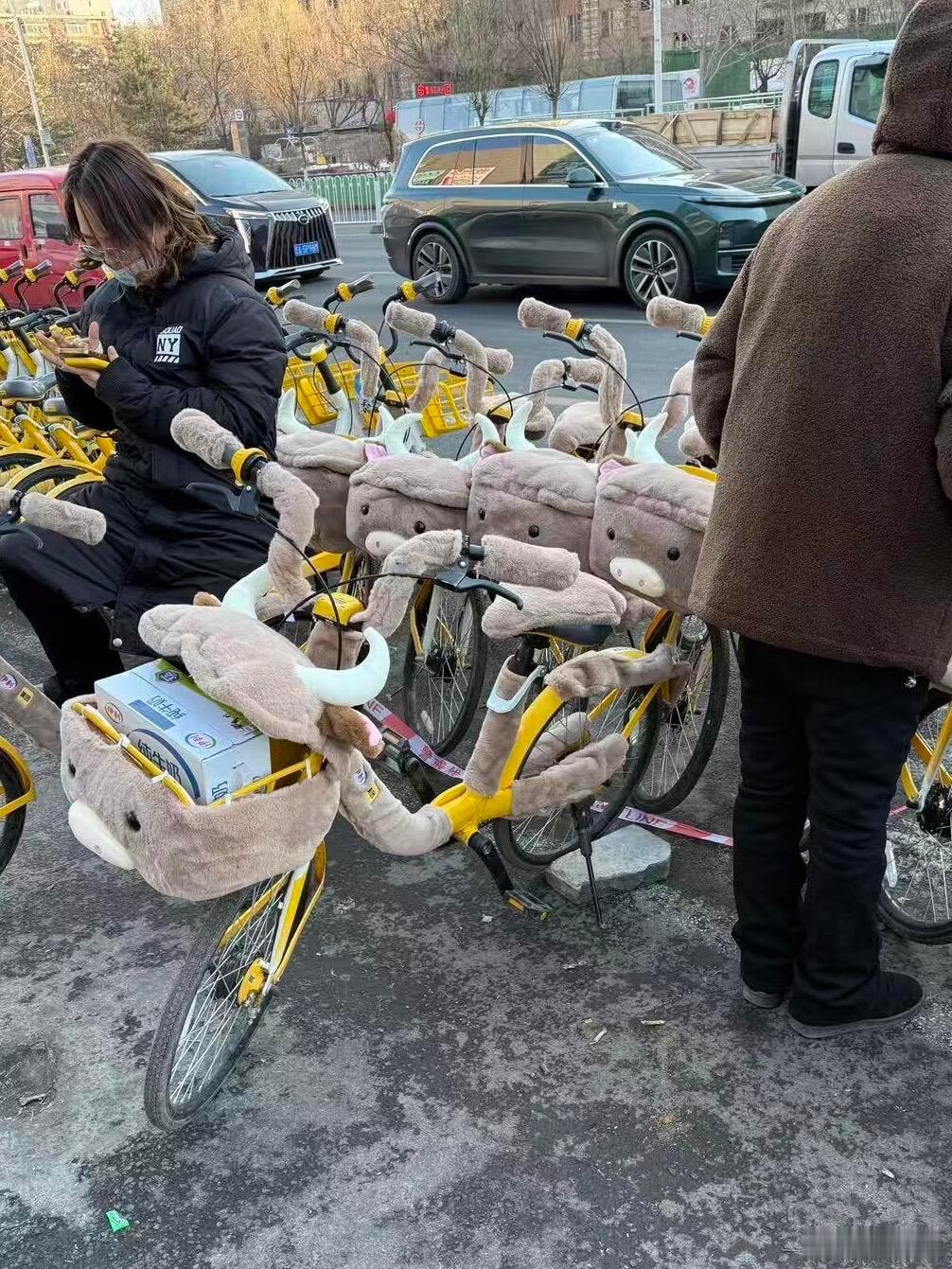 沈阳的自行车也开始穿貂了