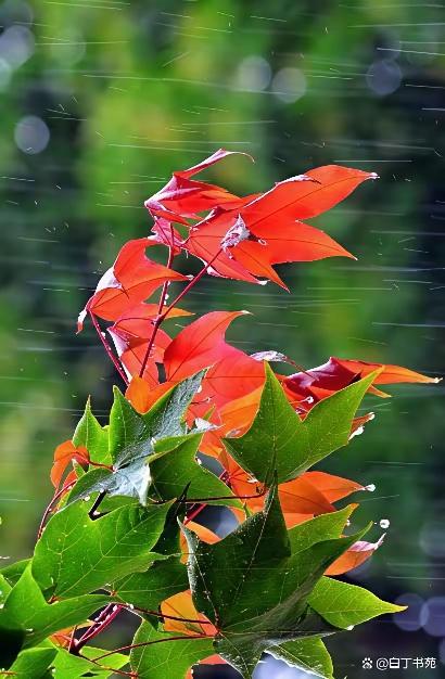 在职场上，你一定要心里有数，没有谁会真心希望你比他更出色。你业绩突出，