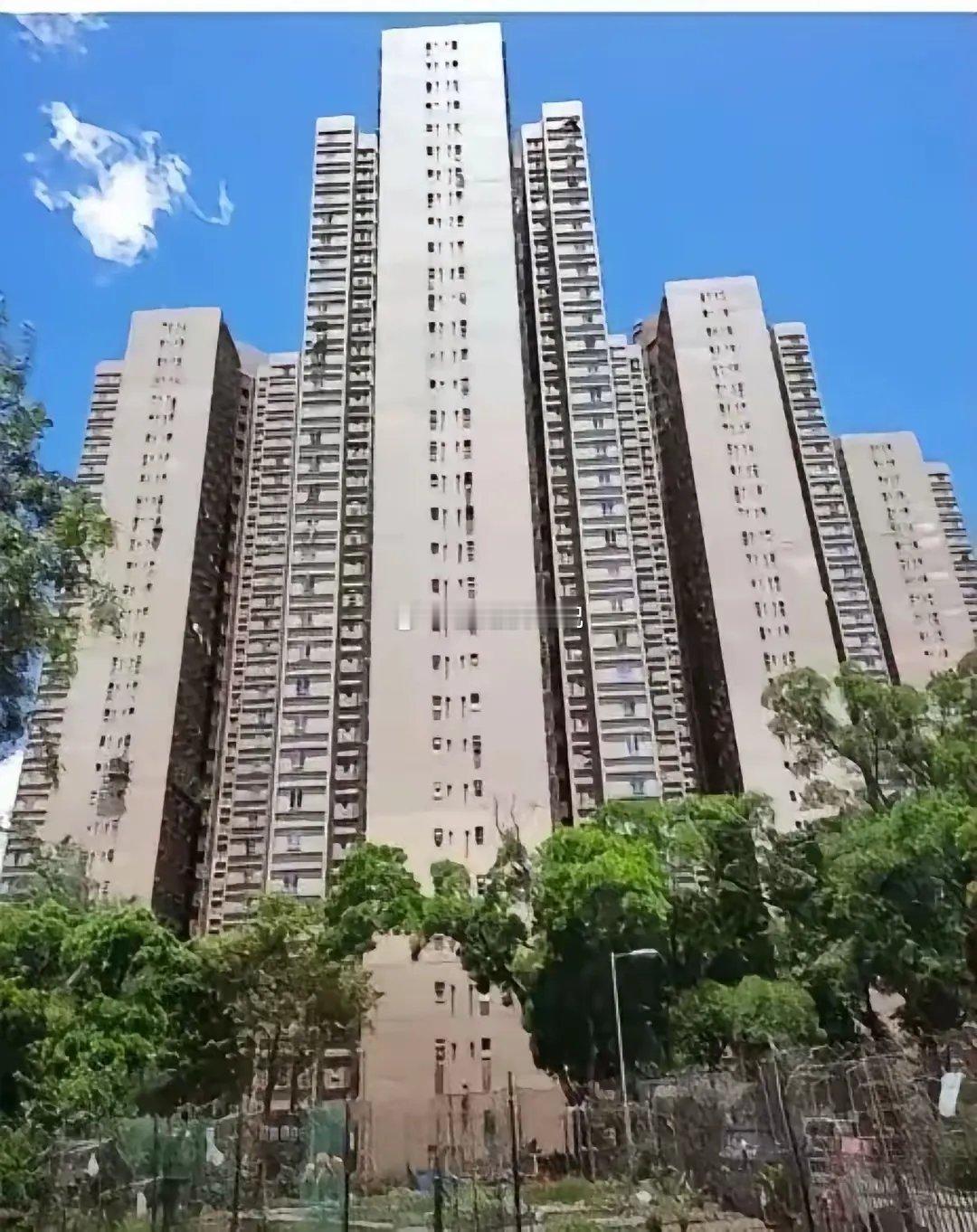 这是8栋大楼没有烧之前的样子，外观看起来干净壮观。这8栋大楼是1983年建成，至