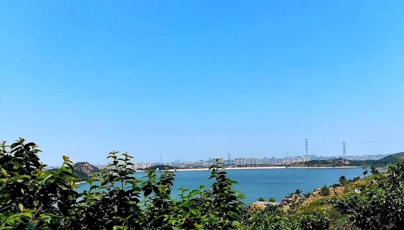 现在的博士生导师只招四种人：第一种当官有钱的，解决的是社会关系的问题，第二种商人