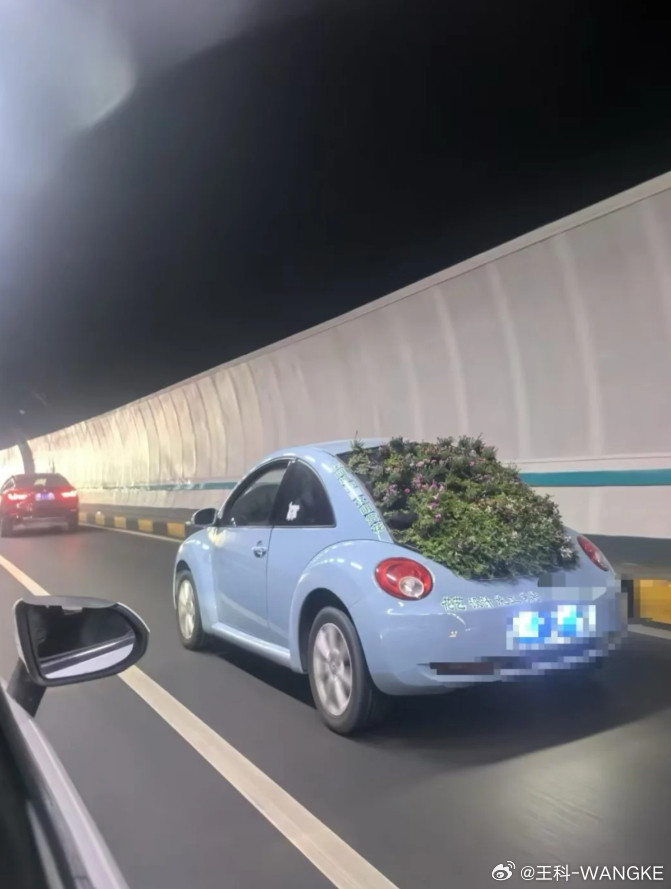 隧道里偶遇一辆开满春天的甲壳虫！