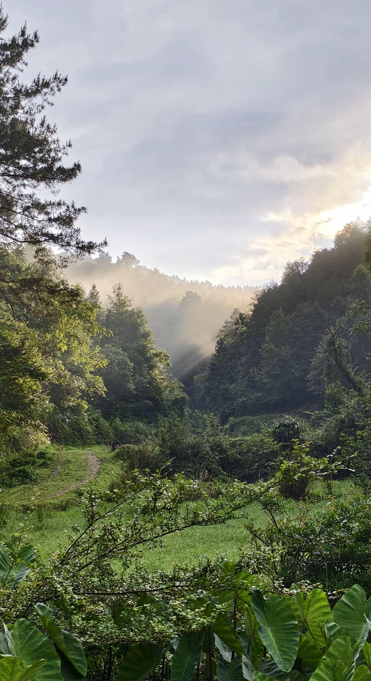 习惯的力量有多大？我说个事情你就明白了，2017年4月份我开始戒烟，当时发