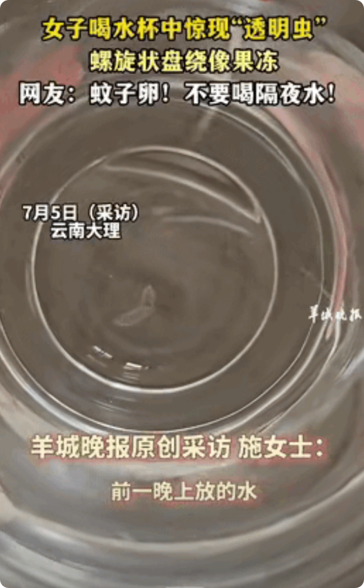 “太吓人了！”云南大理，一女子起床前喝了半杯隔夜水后，竟然惊奇地发现杯子里面有一