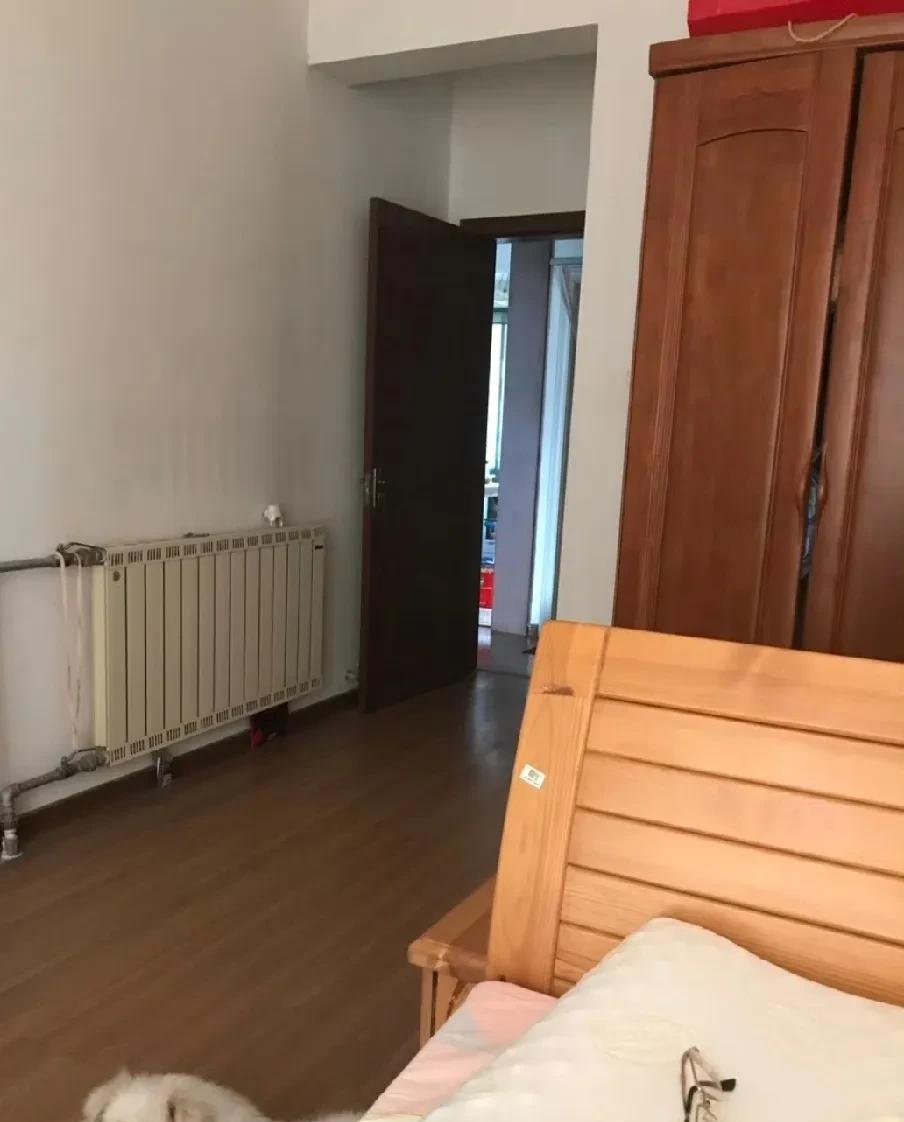 今晚看到了8年前租住的那间卧室，还看到了已经去世6年的豆豆……这是2017年8