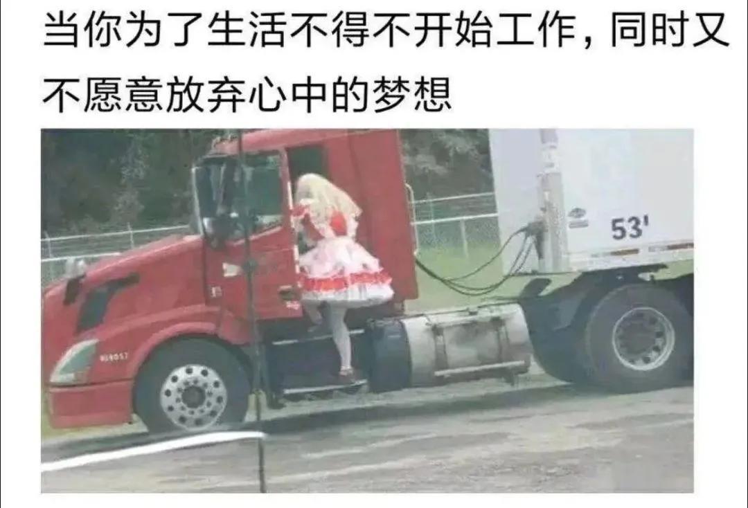 我的宝藏兴趣