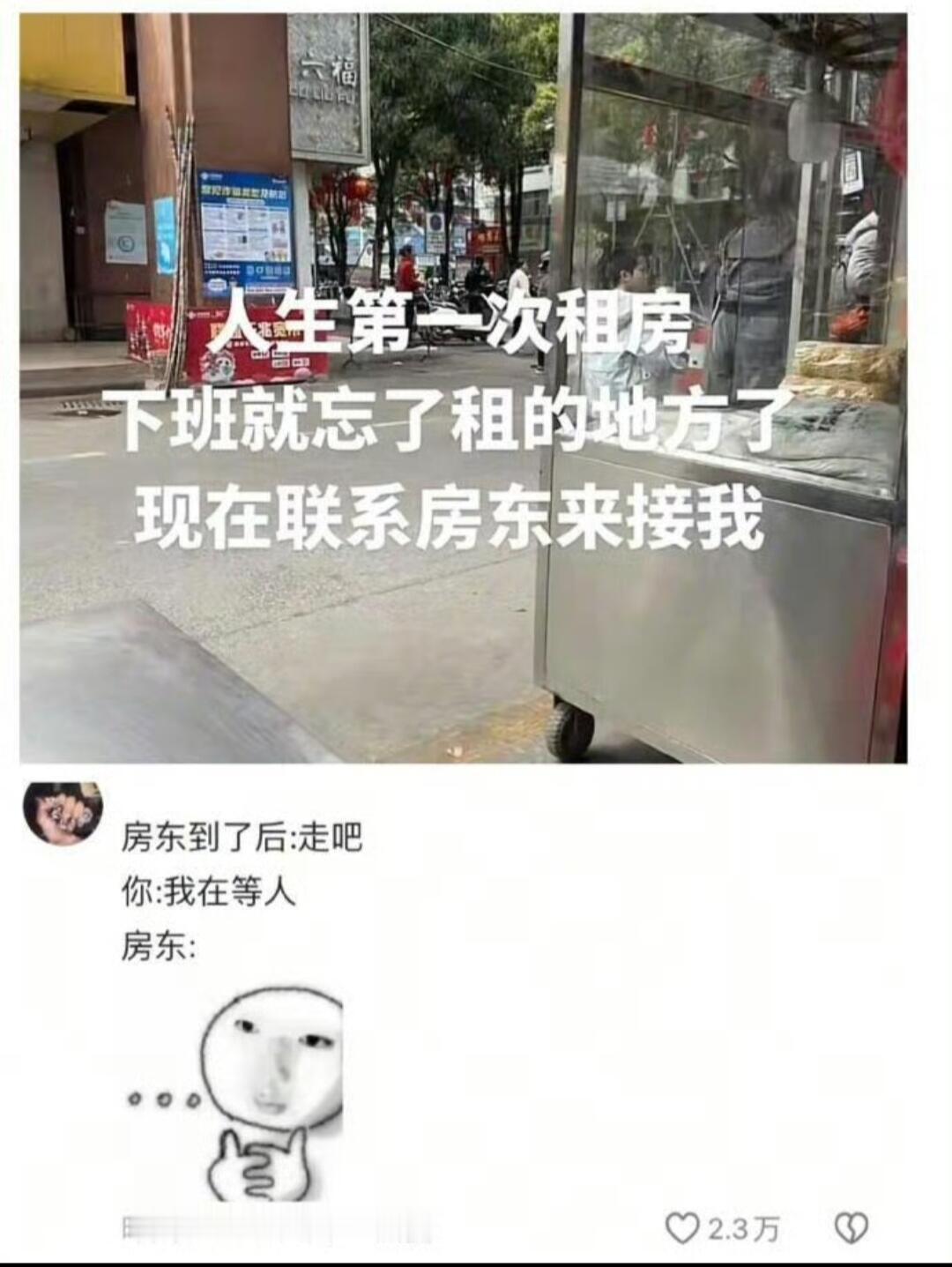 看到大家都傻傻的，我就放心了遇见春天春日放个疯​​​