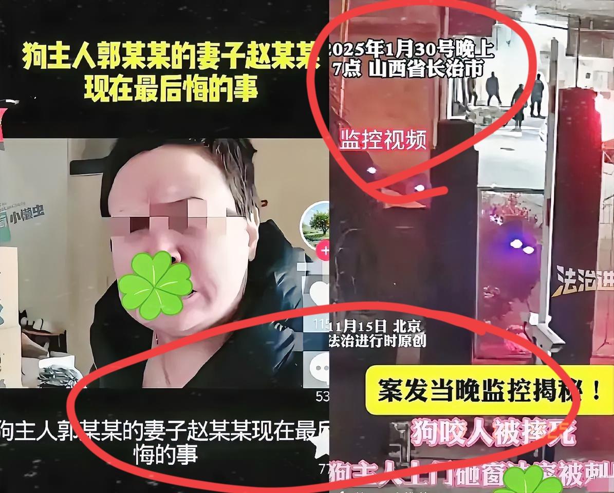 长治这案子里，最拎不清的就是狗主人的妻子赵某晖！到现在她恐怕都没明白，把自