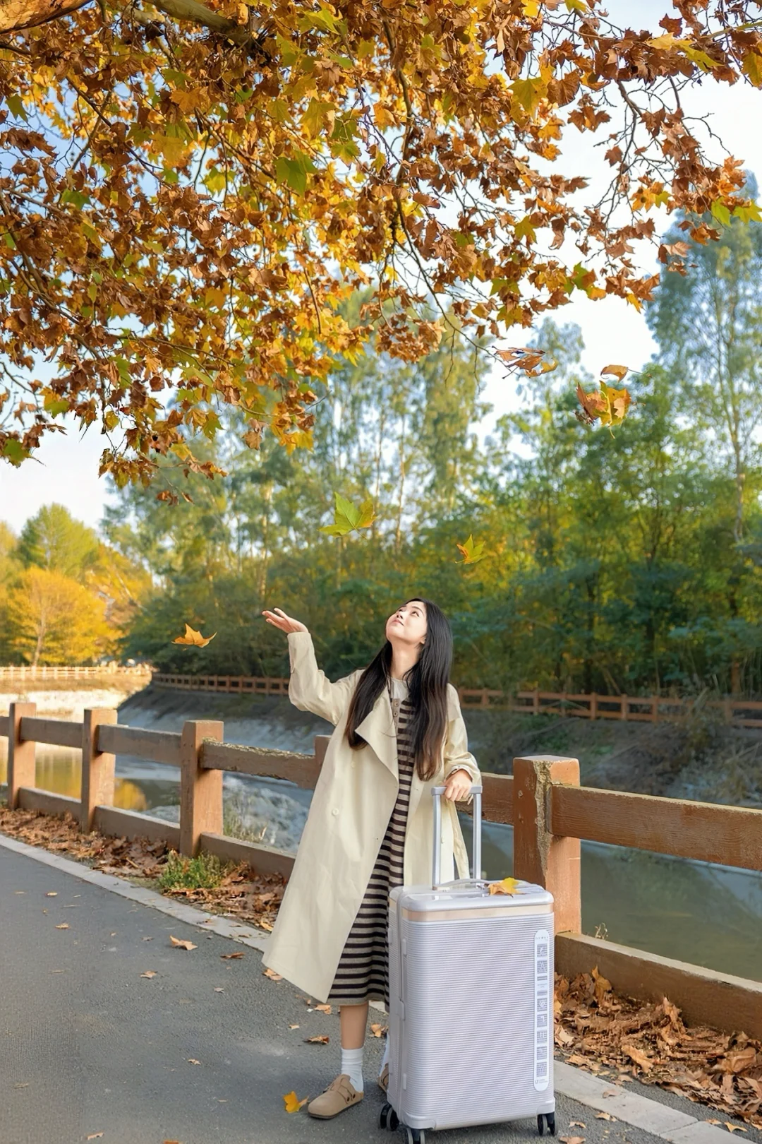 成都拍照🍁地铁直达的秋日氛围感梧桐小道~