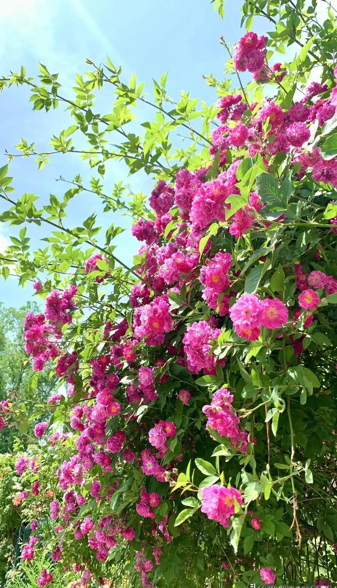 你拼尽全力考进银行，却发现这只是另一场残酷游戏的入场券。招聘海报上写着“本科不