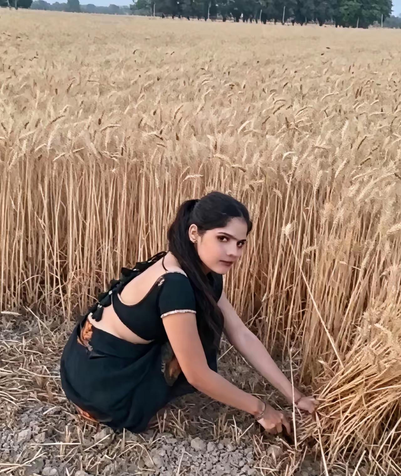 印度赚钱印度花一分别想带回家印度弄出个250万吨尿素大单结果没人愿意接这背后