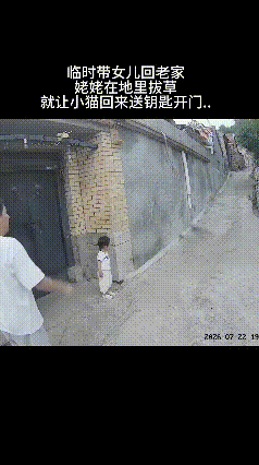 看完这段监控视频，心里觉得格外温暖。一家人临时带着孩子回老家，姥姥还在地里忙着除