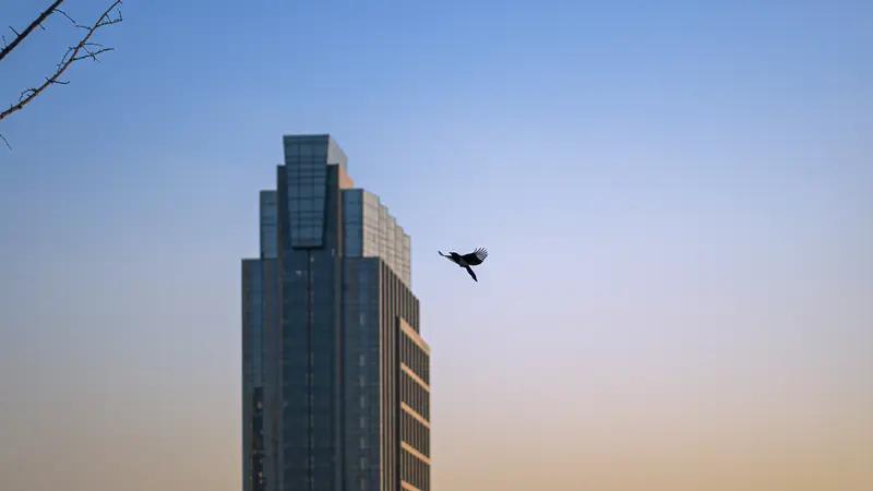 总在等回调，结果等来了踏空！看着永鼎股份从卖出的12.1一路冲到24，每天都盼着