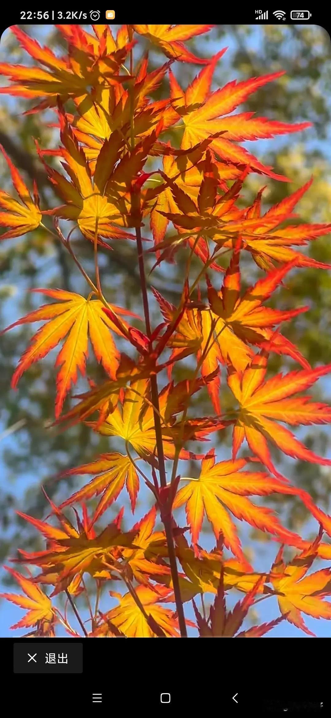 对下联原创上联:煮茶聊天地下联:把酒论古今横批:如何如何